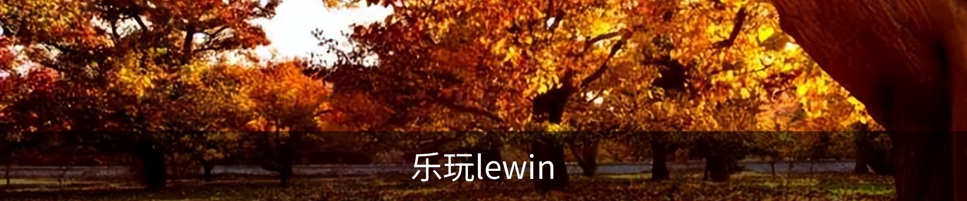 乐玩lewin